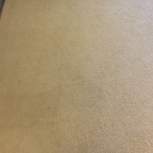 After photo of deep cleaned carpet