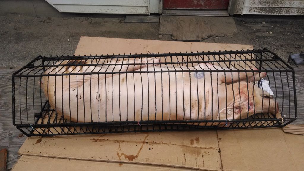 Getting ready for the pig roast. We due about 5 of