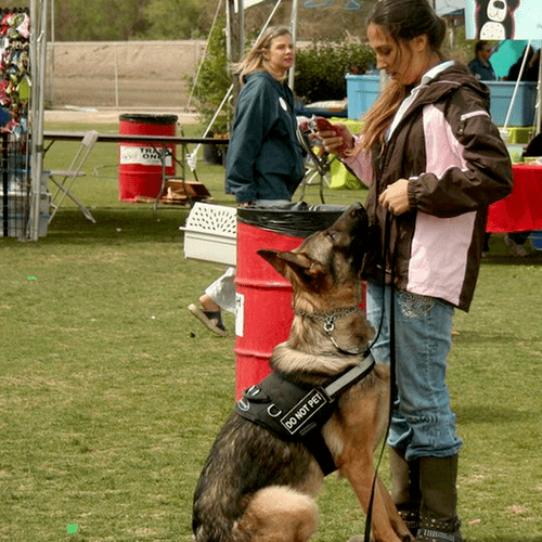 LVK9 Trainers are regulars at events and seminars 