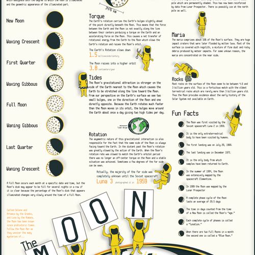 Moon poster Infographic