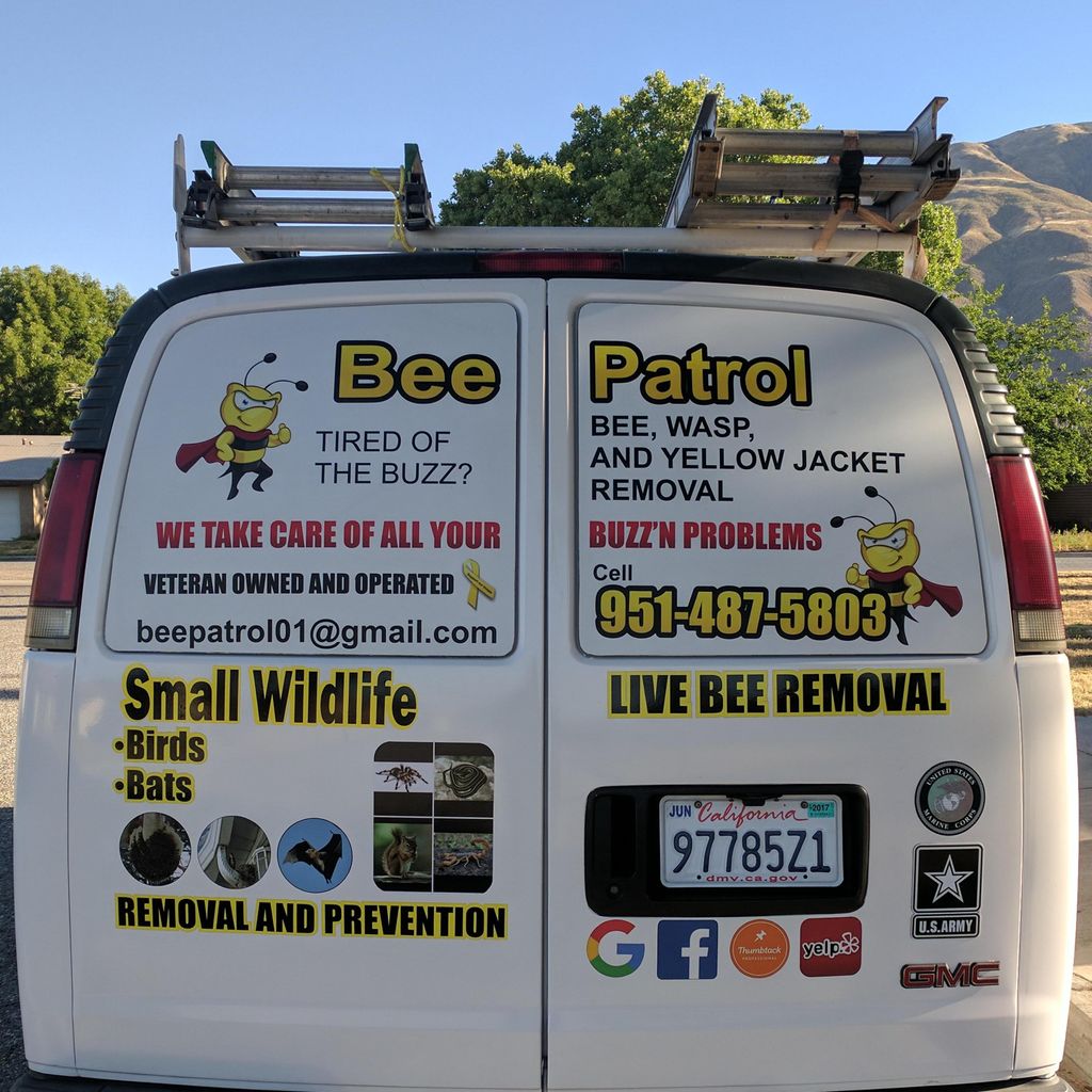 Bee Patrol & Pests