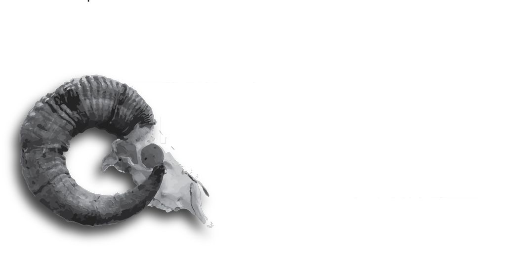 logo designed and produced by me