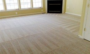 Residential carpet steam cleaning