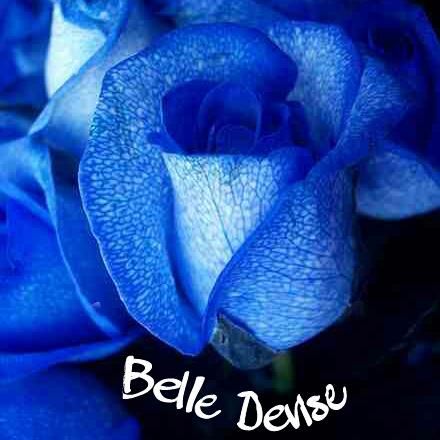 Belle Devise LLC