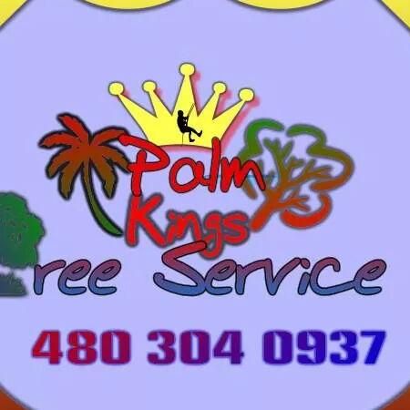 Palm King's Tree Service