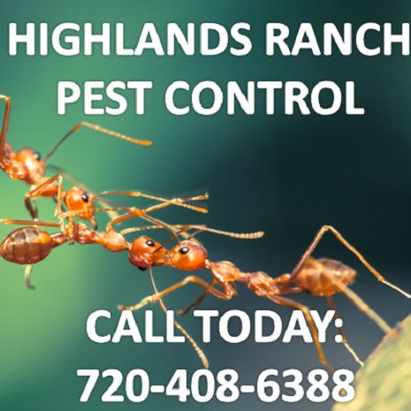Highlands Ranch Pest Control