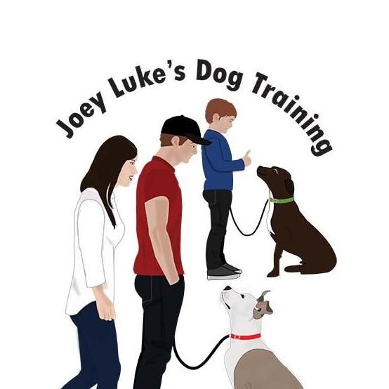 Joey Luke's Dog Training