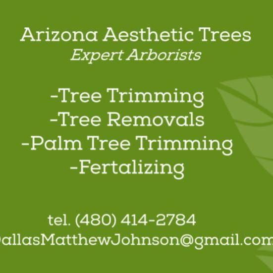 Arizona Aesthetic Trees