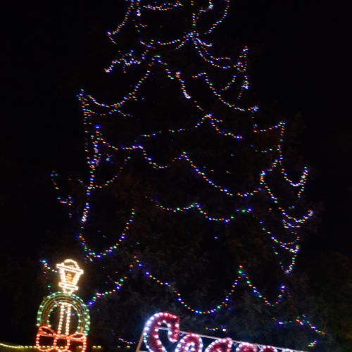 City of Colton Christmas Tree lighting.
