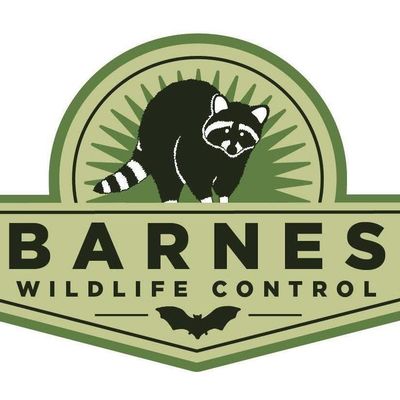 Avatar for Barnes Wildlife Control
