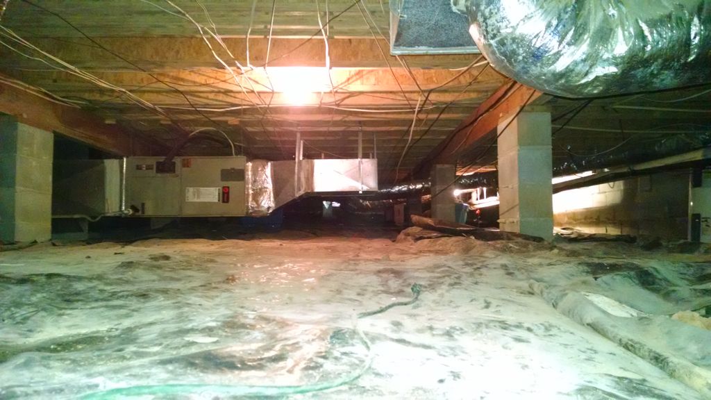CRAWLSPACE BEFORE
