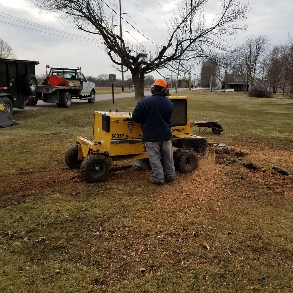 towery stump removal and moore