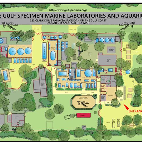 site map for Gulfspecimen.org