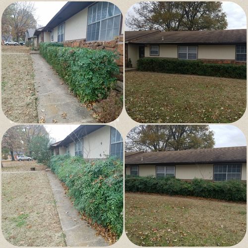 before and after photos of hedge trimming job.