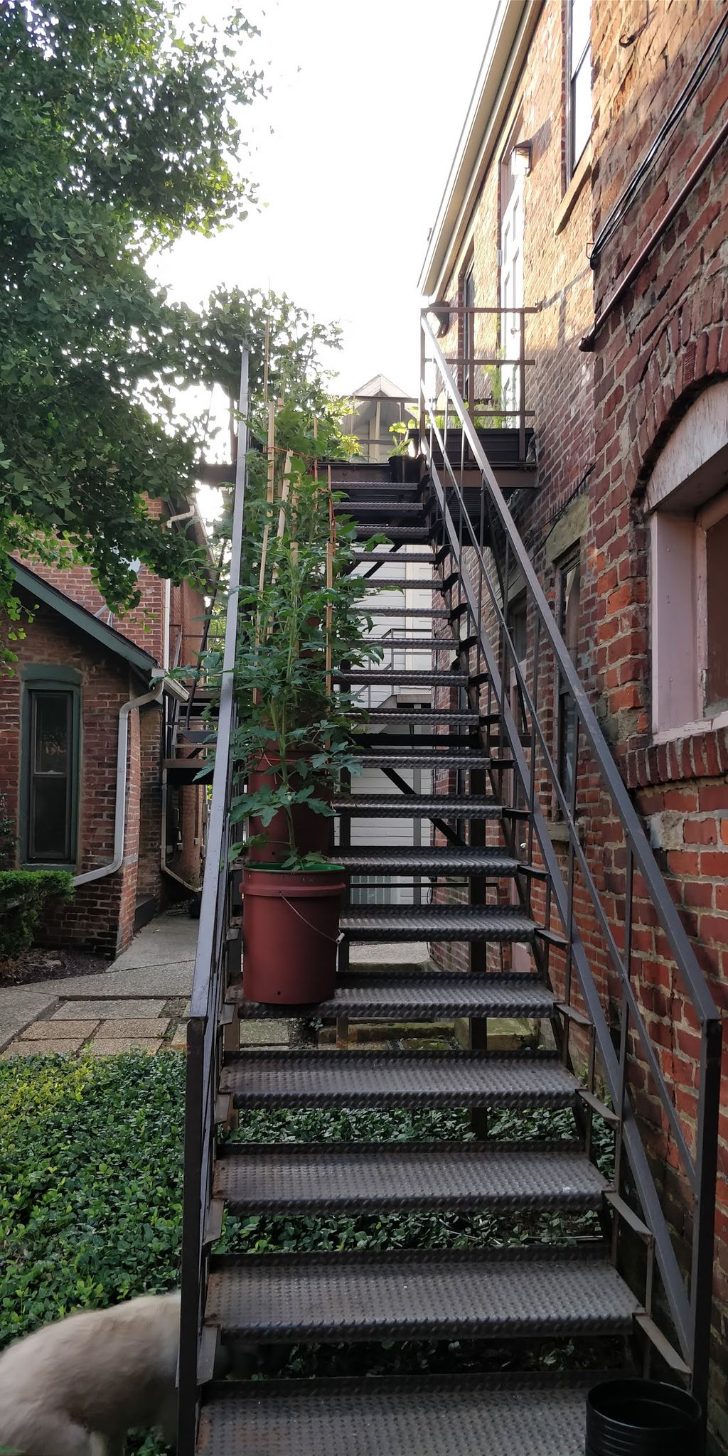 Garden entrance.