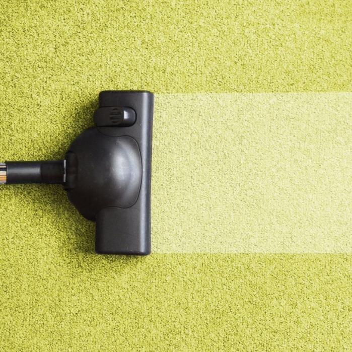 Healthy Green Carpet & Upholstery Care