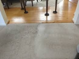 carpet shampoo