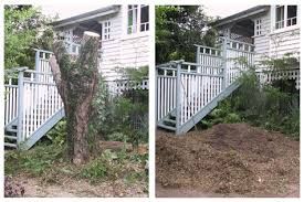 Tree removal & Services.
