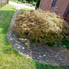 Before Power Wash treatment