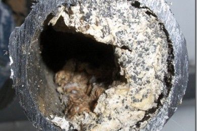 Clogged Sewer pipes