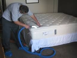 Mold Removal From Bedding