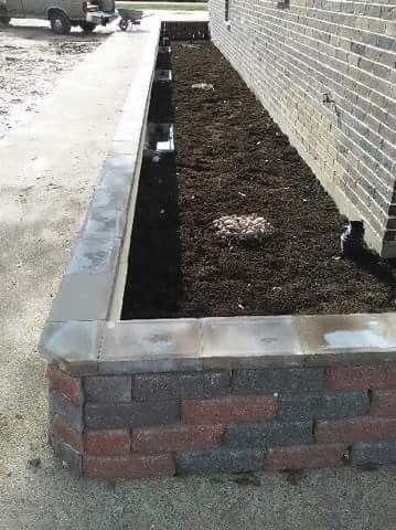 turtle habitat. first time for everything