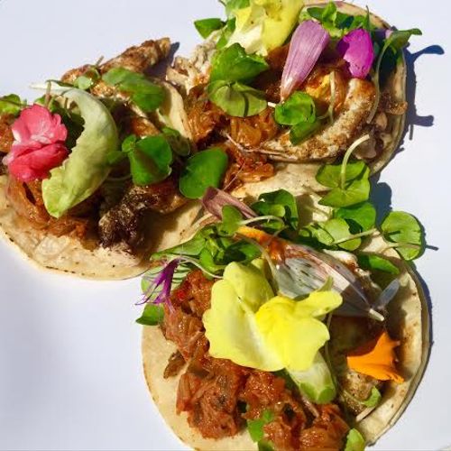 Sonoma Style Tacos With Edible Flowers, Kimchi, an
