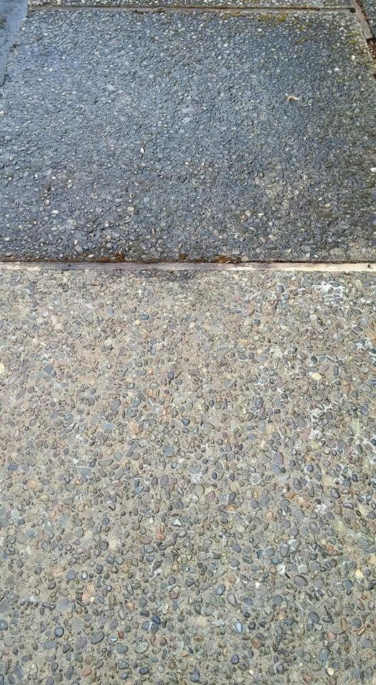 Exposed Aggregate Cleaning (Soft Wash) No Damage