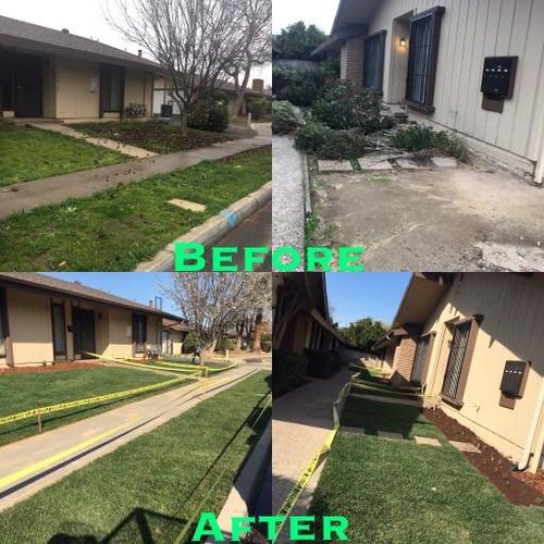 Before putting new sod and After 