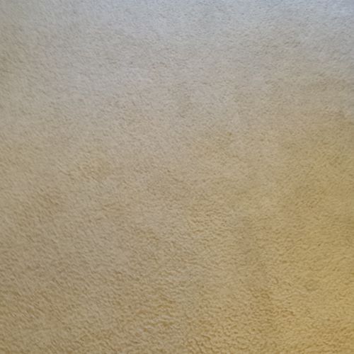 After photo of deep cleaned carpet