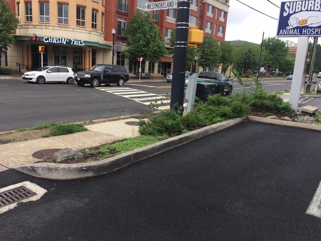 Arlington - Planting - Mulching - BEFORE