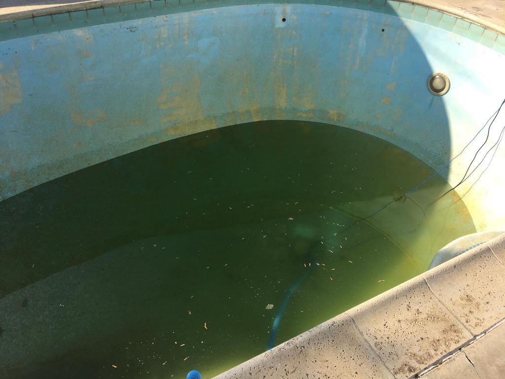 Beginning of chlorine wash.