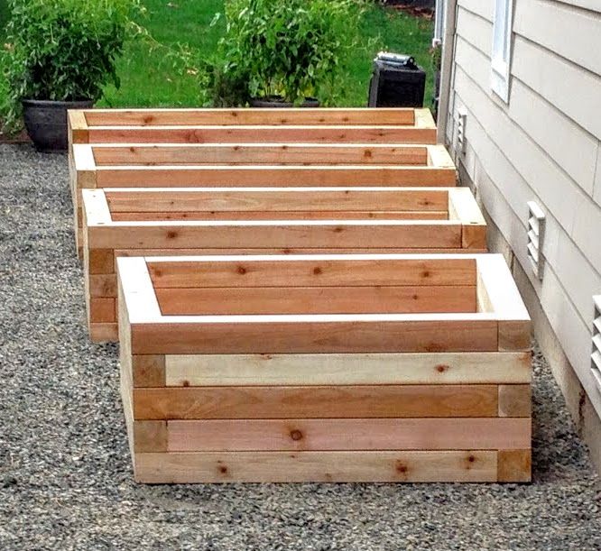 Cedar beds -1/2 way there.
Kent WA.