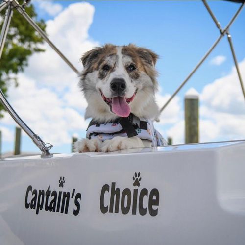 Captain at home on a boat!
