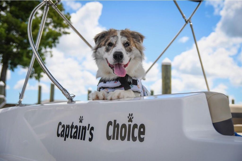 Captain at home on a boat!