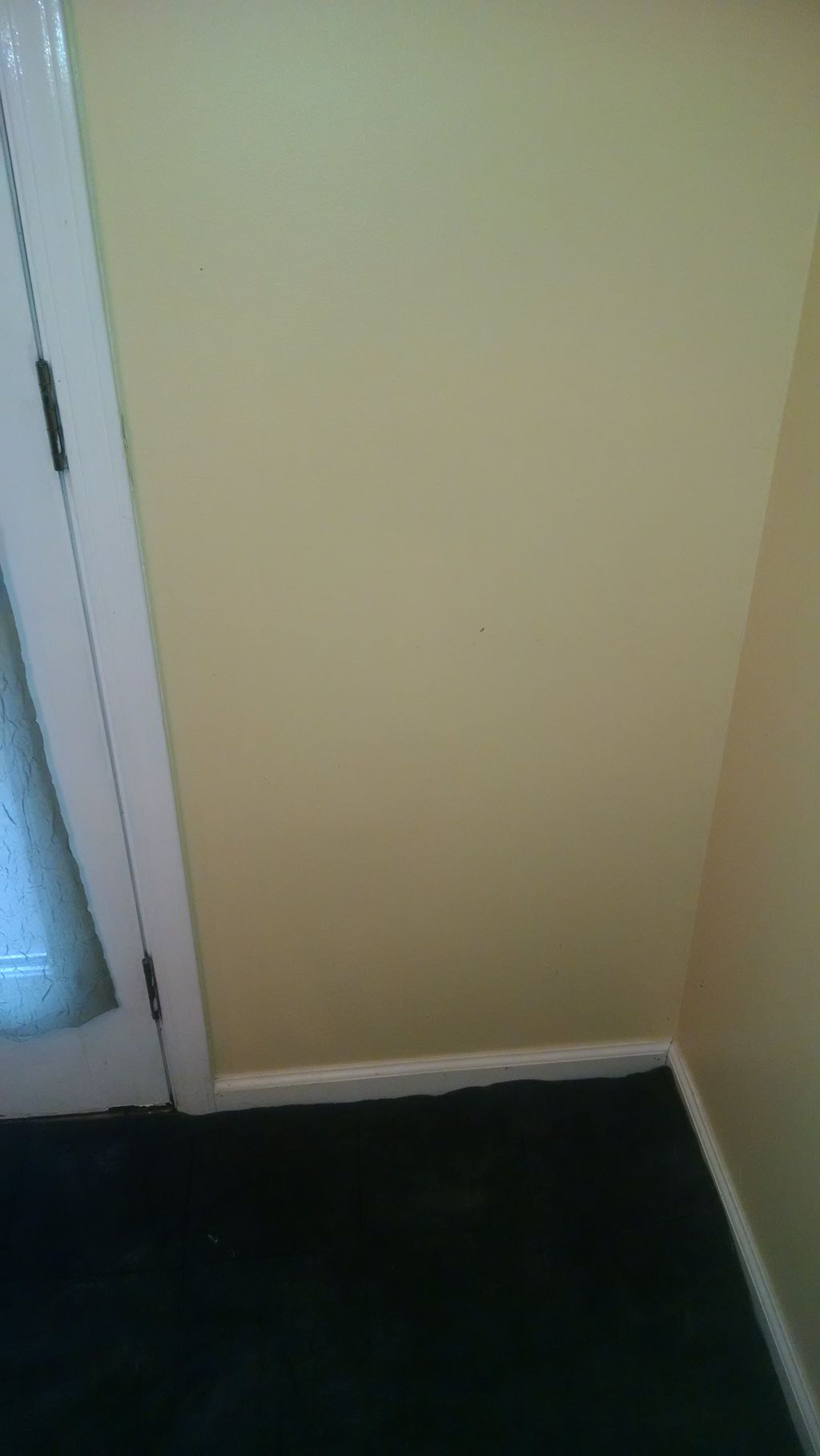 Area where dog door will be installed.