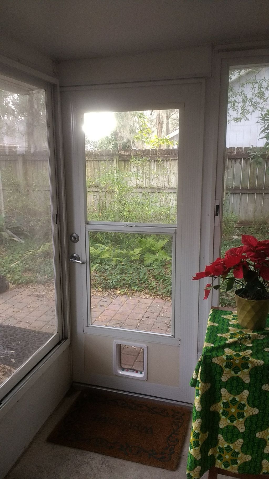 cat door installation