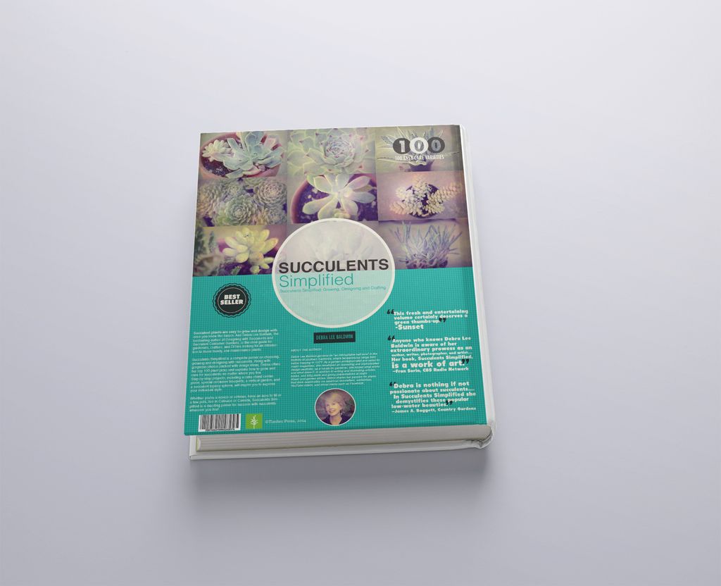 Book design for Succulents Simplified.