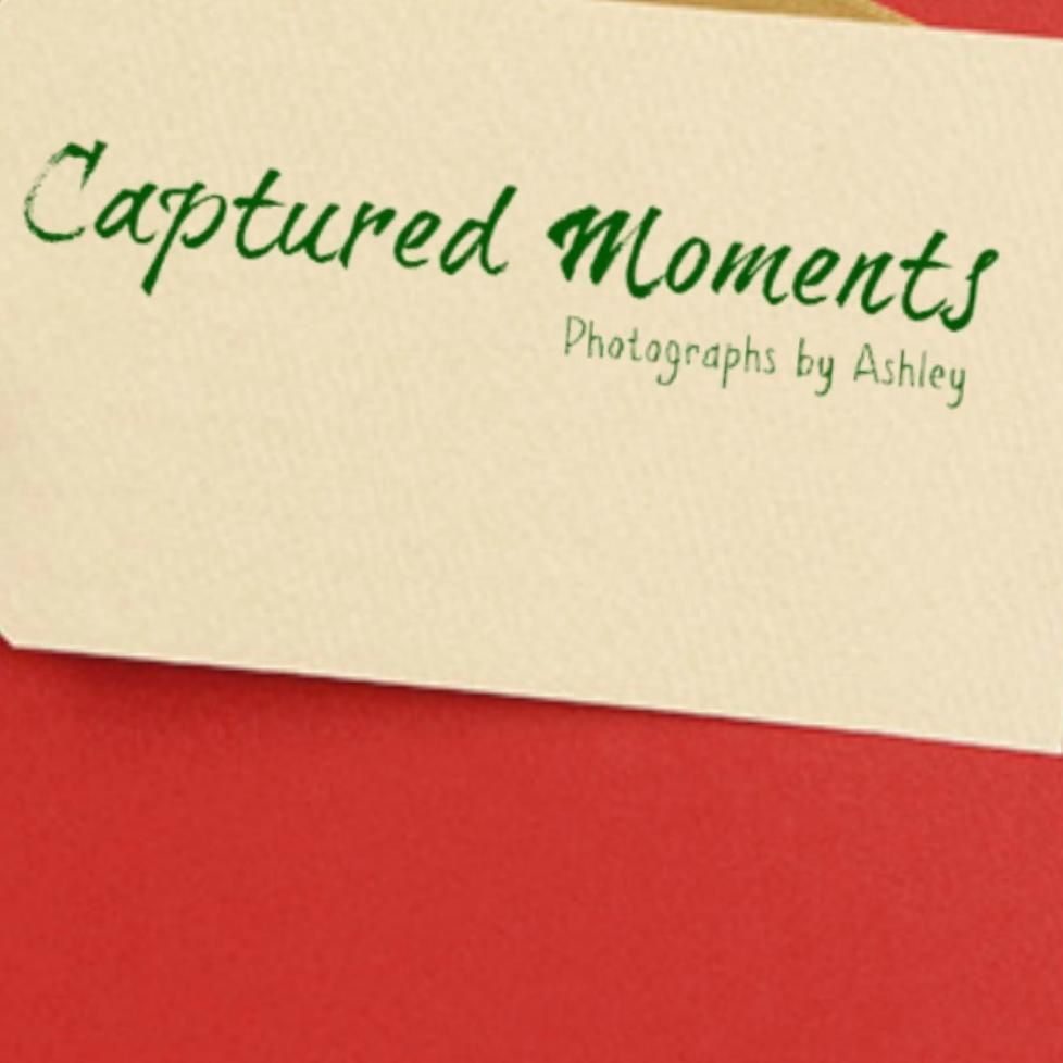 Captured Moments::Photographs by Ashley