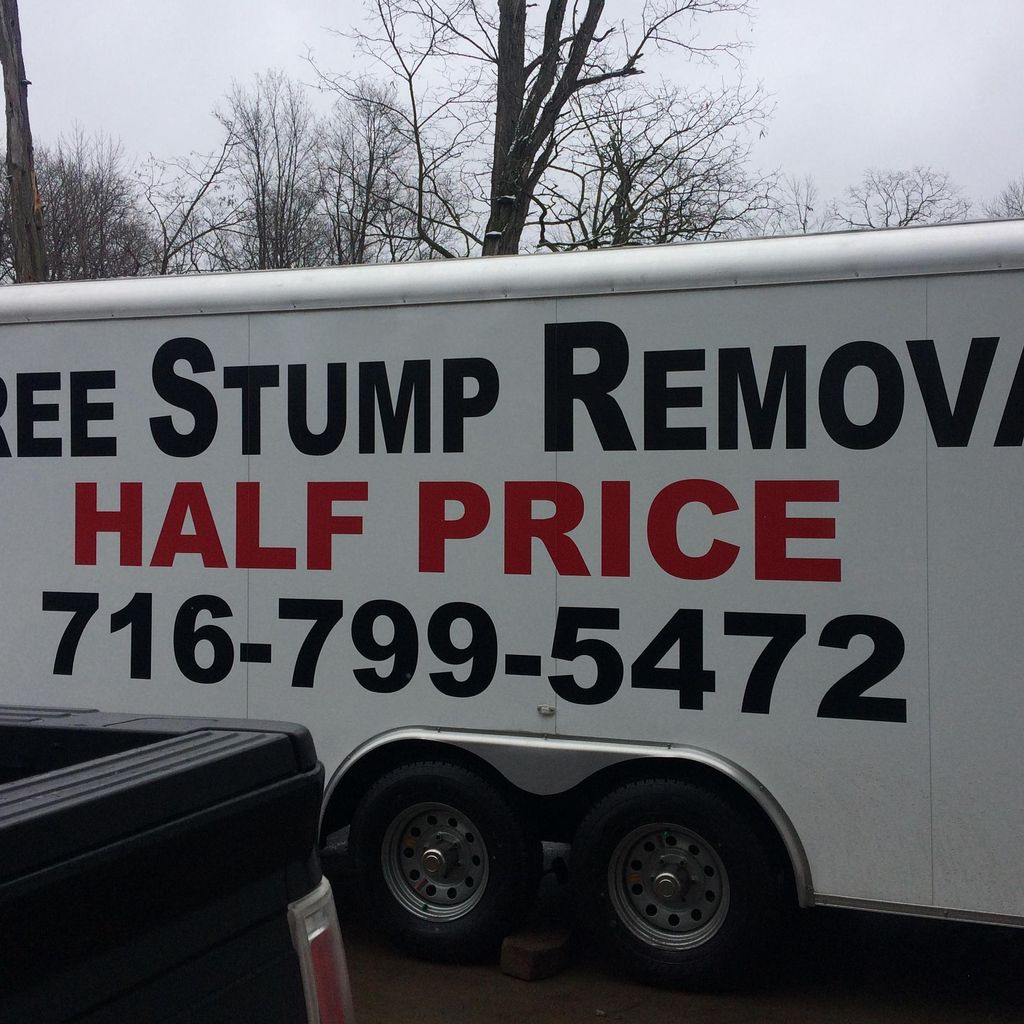 Half Price Tree Stump Removal