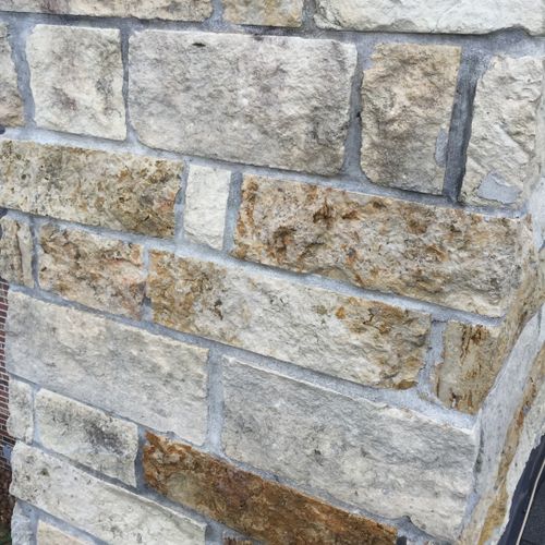 Mold and Mildew removed form stone and mortar.