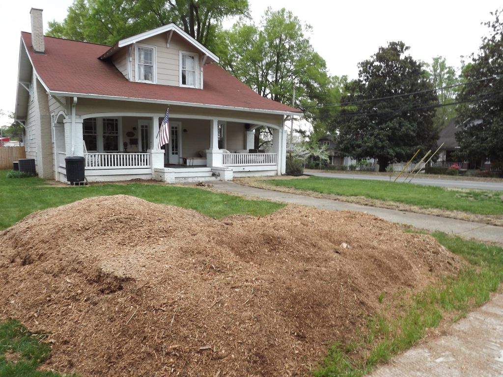 After the stump was totally removed.