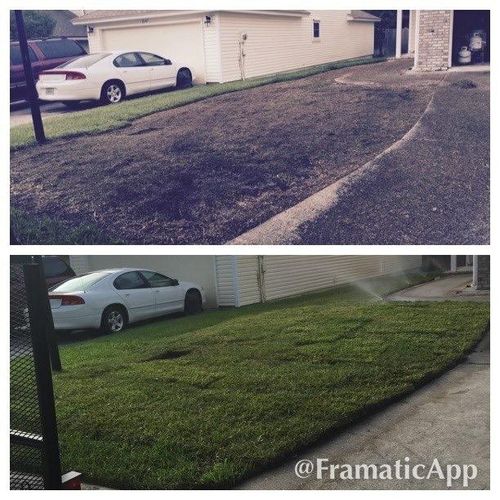 Full Front Yard Sod Installation- This shows only 