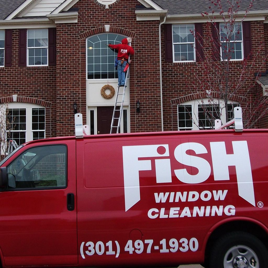 Fish Window Cleaning