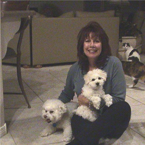 Robin with bichons: Isabella and Dillon.