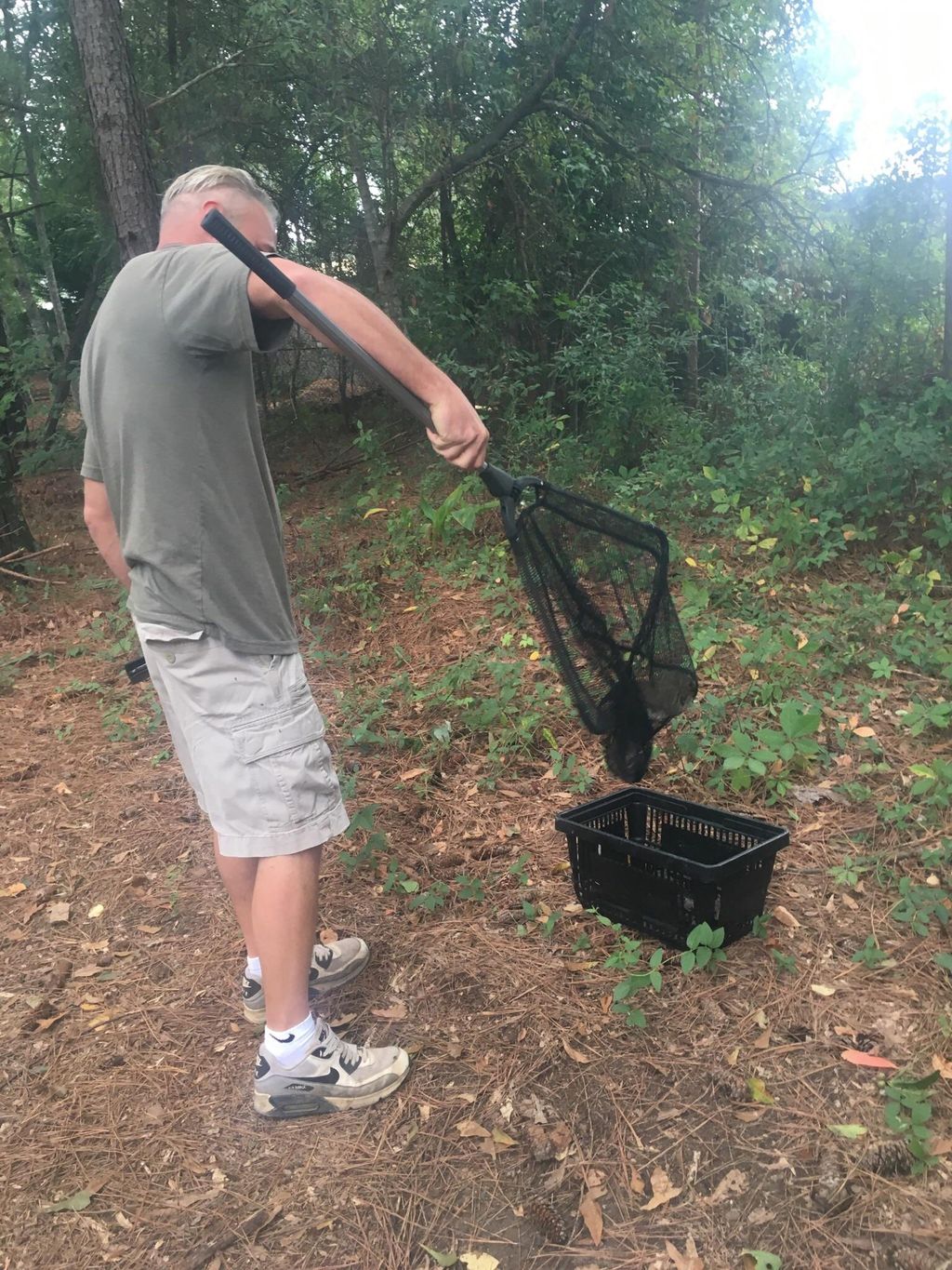 Squirrel Relocation