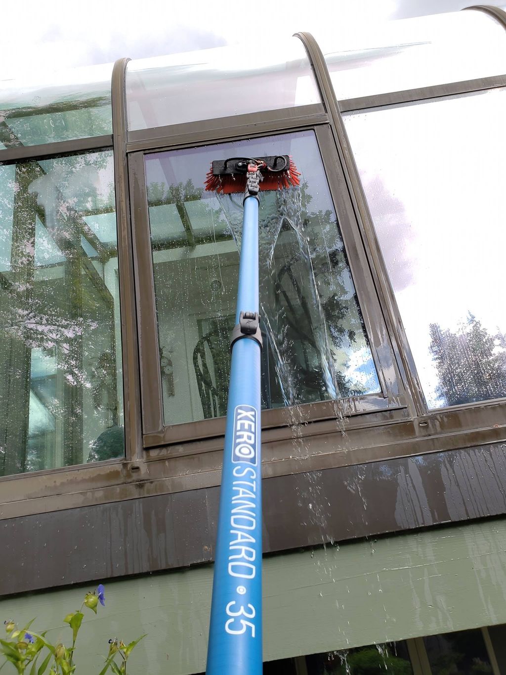 Window Cleaning
