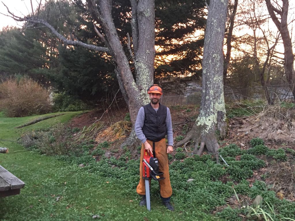 Custom Tree Cutting And Excavations
