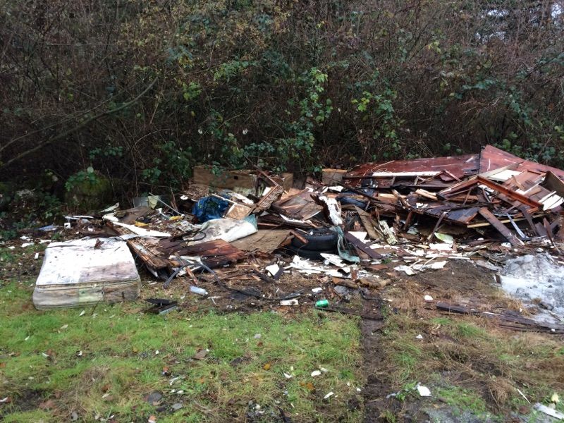 Backyard Cleanup - Before -
Tumwater, 
2015