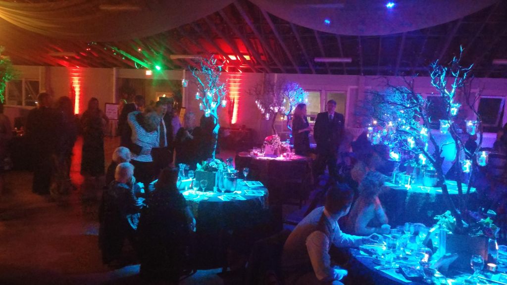 Table spot lighting and backlighting/uplighting so